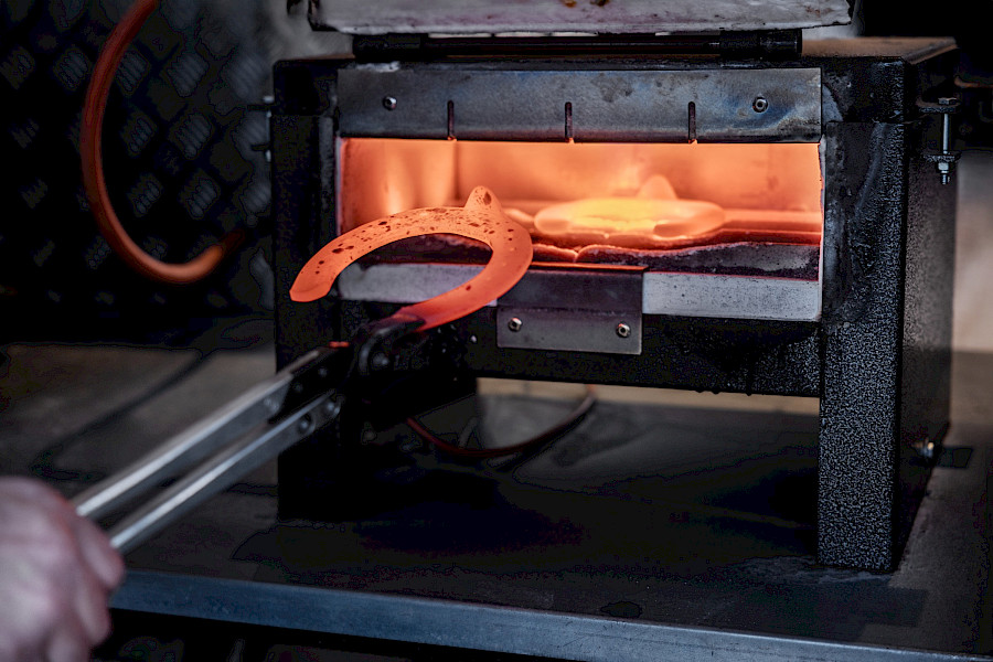 Alles voor het paard