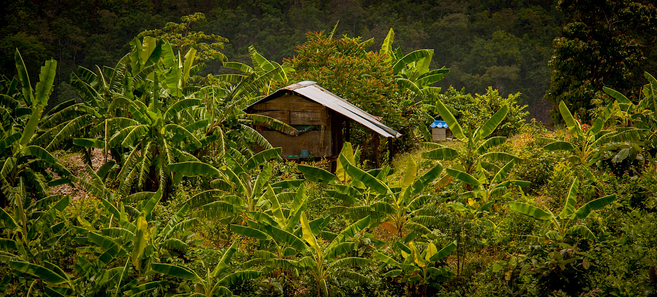 Van Bangkok naar Pai
