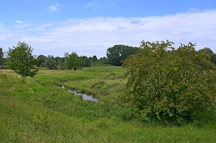 Het Limburgs Landschap: Kaldenbroek en Siebersbeek