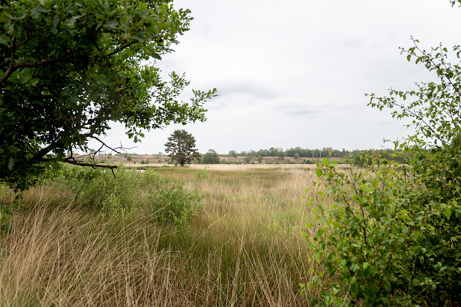 Aan de wandel met Twan Huys