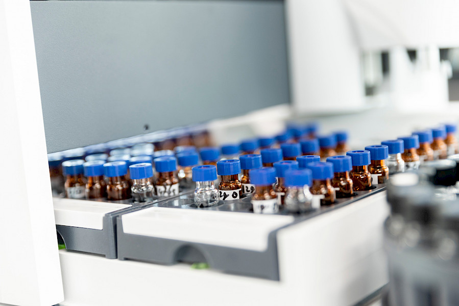 Van bodem naar bord: paprika