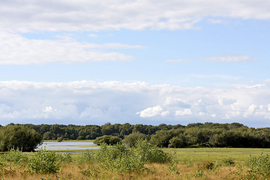 Het Limburgs Landschap: Sarsven en De Banen