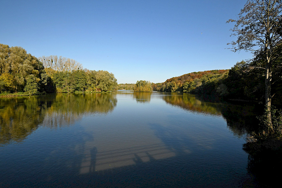 Het Limburgs Landschap: de Cranenweyer in de Anstelvallei