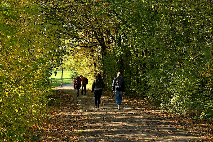 Het Limburgs Landschap: de Cranenweyer in de Anstelvallei