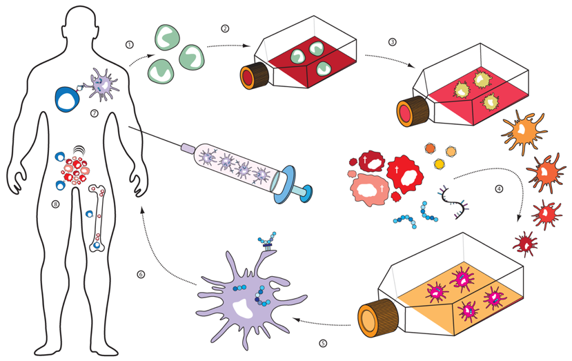 Navenant Foundation draagt wetenschappelijk onderzoek in Limburg een warm hart toe