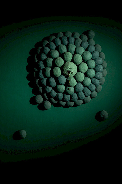 Atelier Ruben van Megen present op Amsterdam Rolling Art