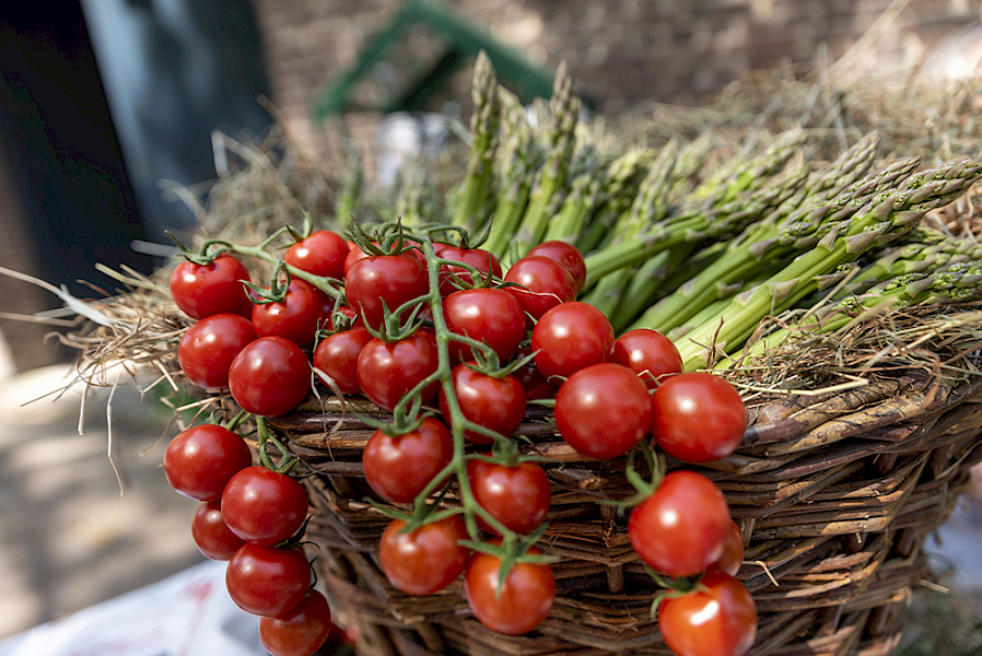 Foto's Adieu d'Asperges Safari 2021