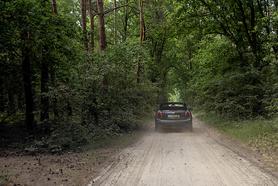 Foto's Adieu d'Asperges Safari 2021