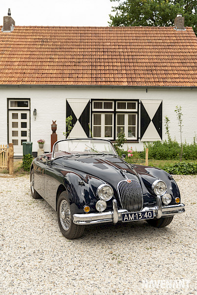 Foto's Adieu d'Asperges Safari 2021