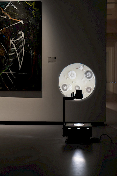 Future perspectives - the ram’s horn trumpet will sound again.