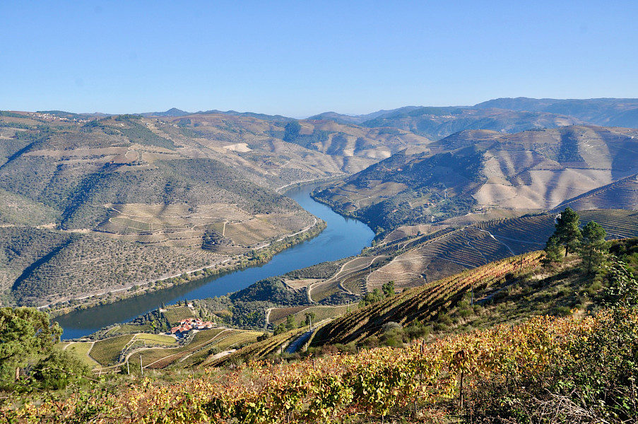 Fluweelzacht, krachtig en complex