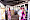 Foto's Haringparty 2022
