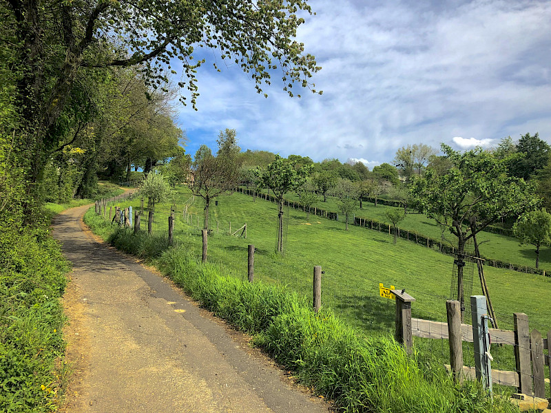 Amstel Gold race, maar dan anders