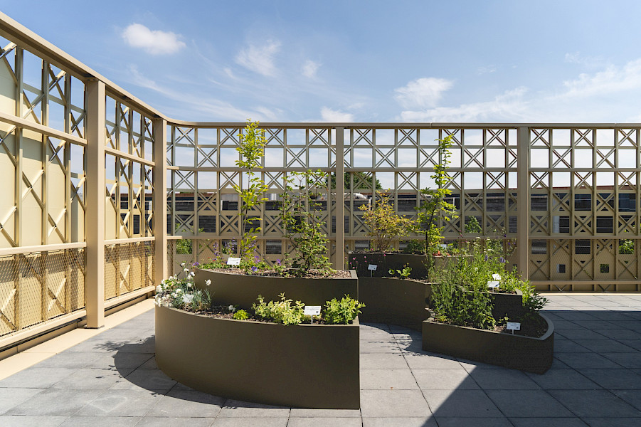 Fiets- en wandelroutes langs kunstprojecten voor vergroening in Venlo en Venray