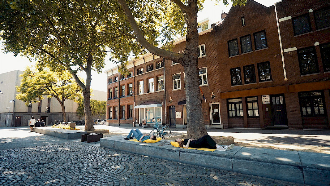 Fiets- en wandelroutes langs kunstprojecten voor vergroening in Venlo en Venray