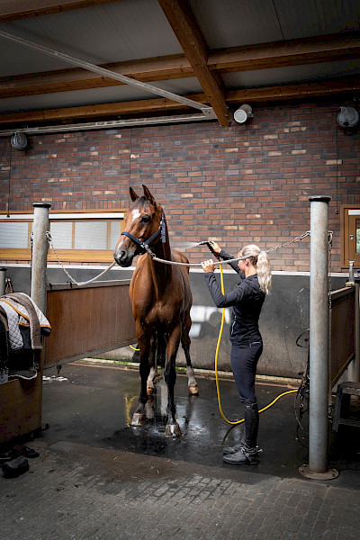 Sanne Thijssen over Con Quidam, concoursen en haar nieuwe stal