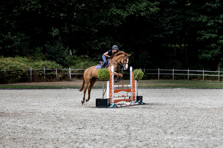 Stal Hendrix, een bijzonder familiebedrijf