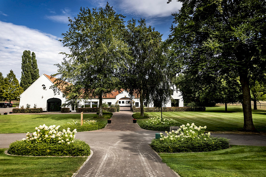 Stal Hendrix, een bijzonder familiebedrijf