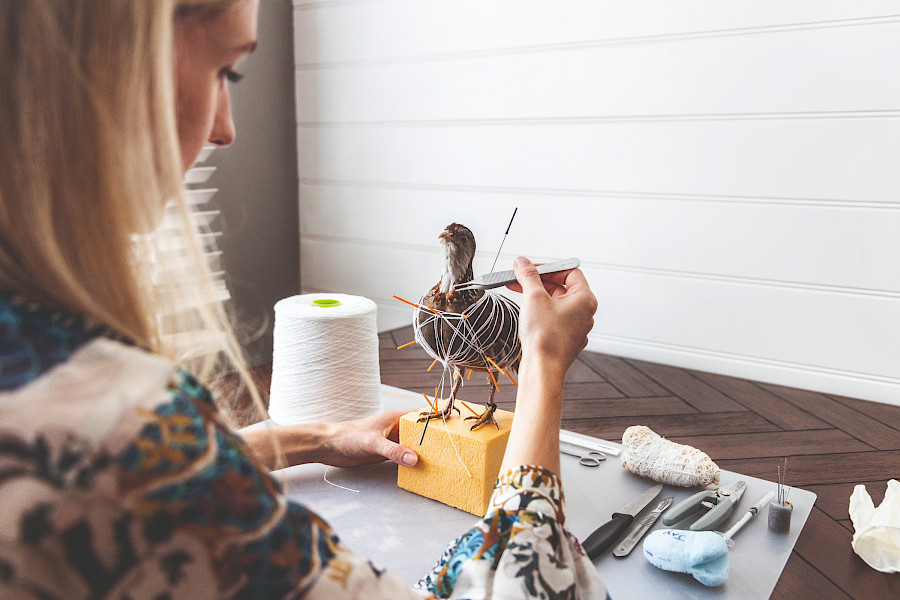 Dieren een tweede leven geven: taxidermist Adriënne