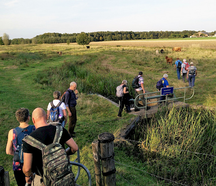 Kloosters: balsem voor de individualistische ziel