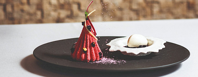 Bekijk hier het artikel