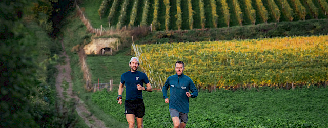 Bekijk hier het artikel