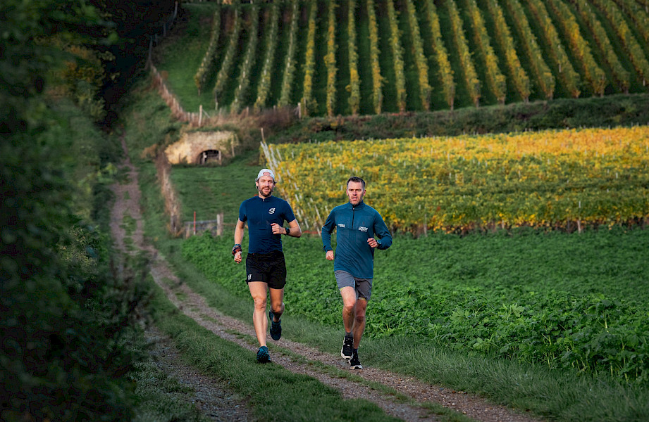 De decembereditie van Navenant