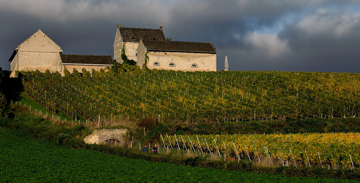 Wijnroutes sportief bekeken