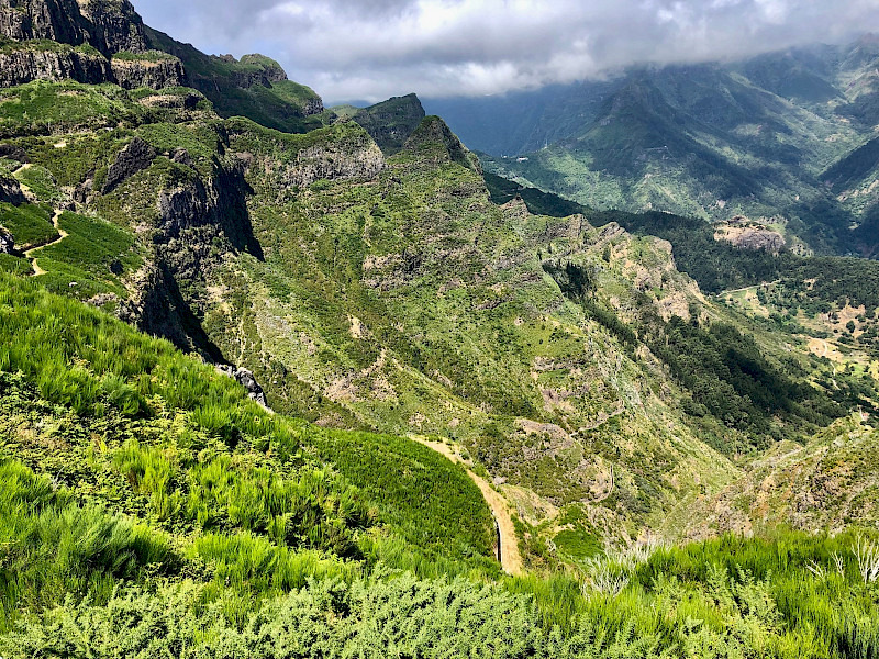 Wijn uit Madeira
