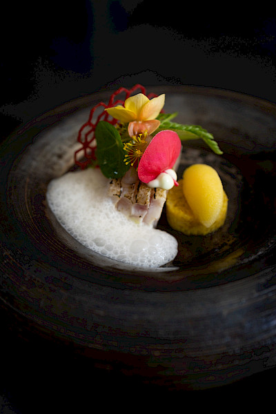 Limburgse Signatuur: NOVO New Dining