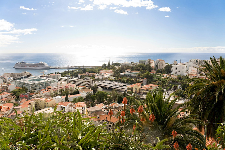Madeira, een groene parel in de Atlantische Oceaan