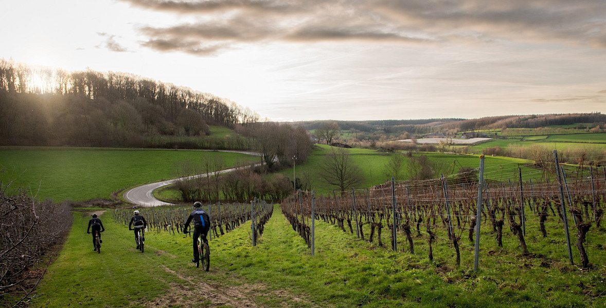 Mountainbike Wine Tour